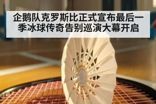 企鹅队克罗斯比正式宣布最后一季冰球传奇告别巡演大幕开启